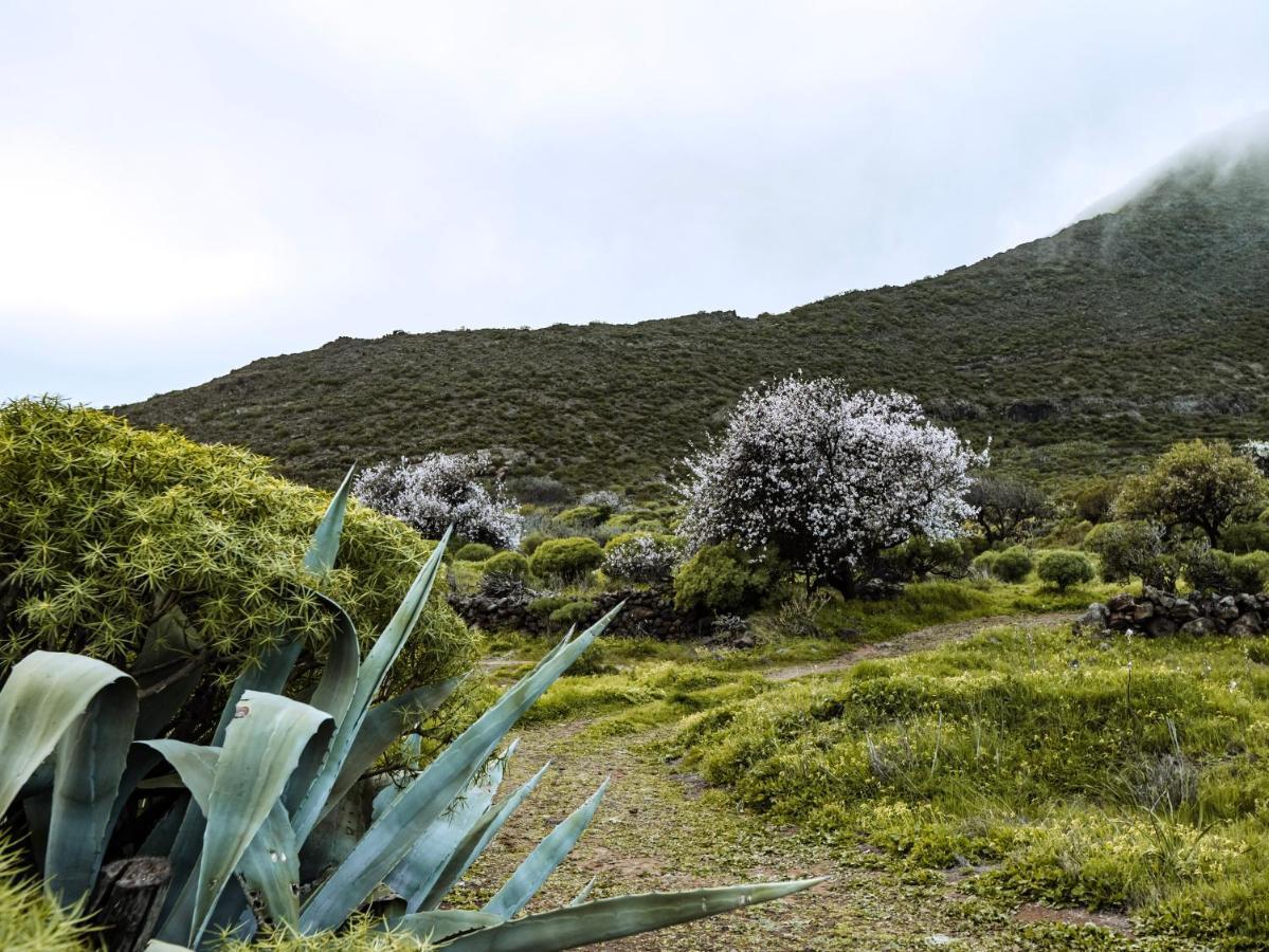 Luxury Villa In Nature With Swimming Pool Tenerife, Santiago Del Teide, With Sea And Mountain Views El Retamar المظهر الخارجي الصورة